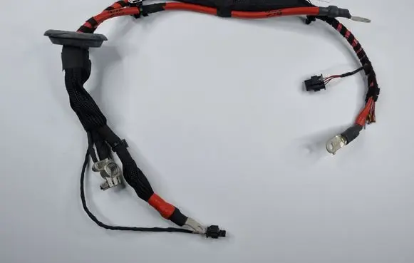 Mercedes-Benz EQS V297 Positive cable (battery) A2979981200
