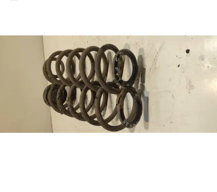 Audi Q5 SQ5 Rear coil spring