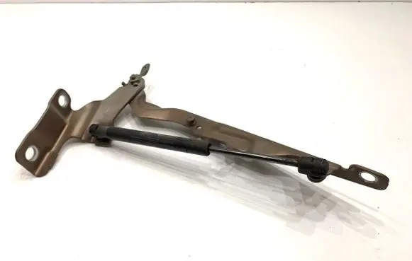 Volvo XC60 Engine bonnet/hood hinges 30784935