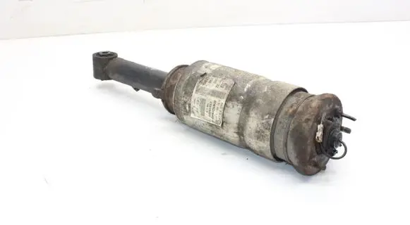 Land Rover Range Rover Sport L320 Air suspension front shock absorber 22249855