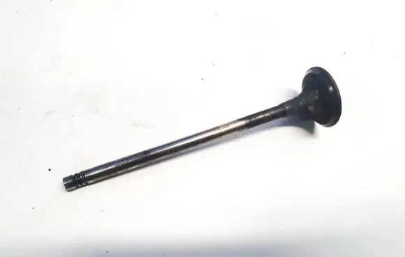 Renault Vel Satis Valve 