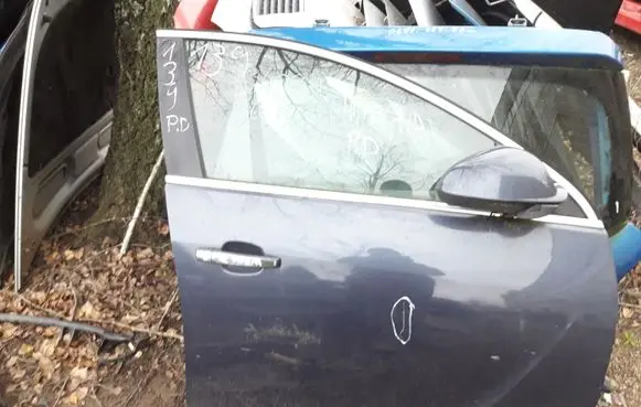 Opel Insignia A Front door
