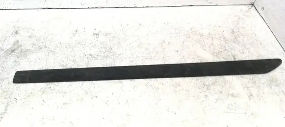 Rear door trim (molding)