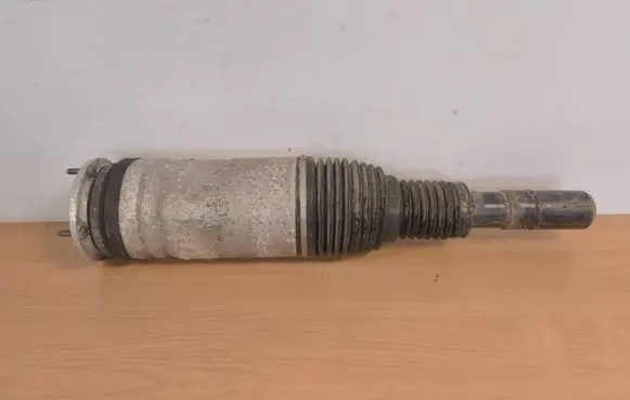 Land Rover Range Rover Sport L494 Air suspension front shock absorber DPLA3C286BG