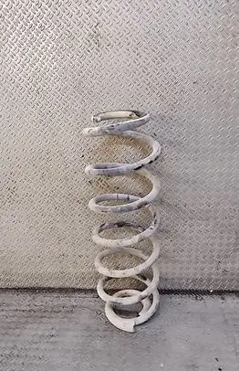 Rear coil spring