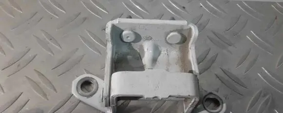 Nissan Leaf II (ZE1) Rear door hinge set 