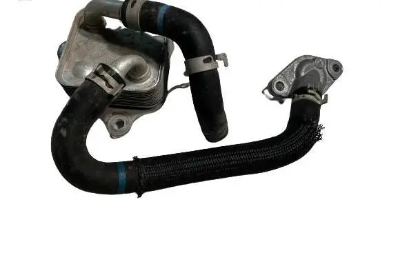 Toyota RAV 4 (XA50) Engine oil radiator 