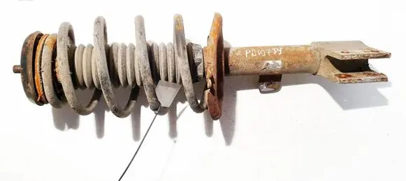 Citroen C4 I Picasso Front shock absorber/damper