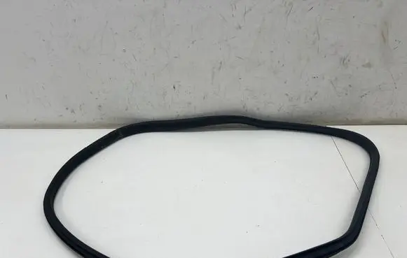 BMW i4 Rear door rubber seal (on body) 7482947