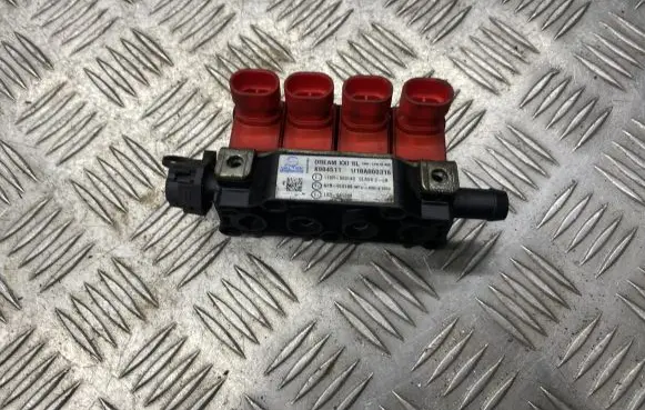 Volkswagen Golf IV LP gas injector 67R010199 K904511 110R000140
