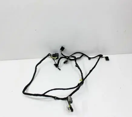 Ford Mustang VI Other wiring loom FR3T18B574AC