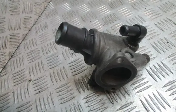 Thermostat/thermostat housing