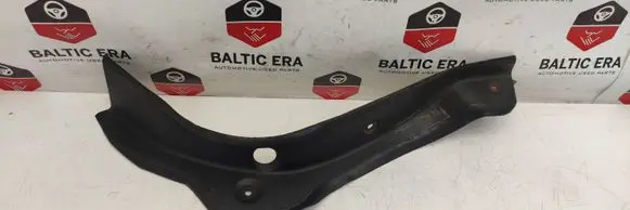 Rear/tail light trim molding