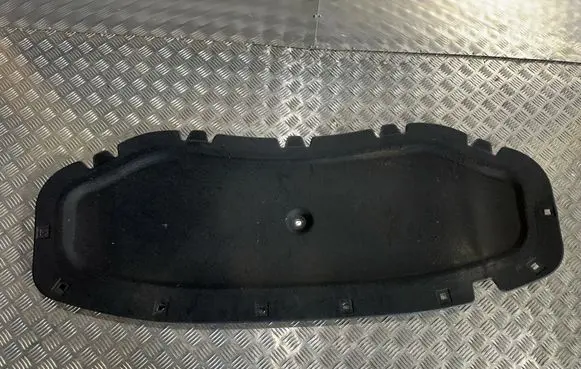 Volkswagen Tiguan Engine bonnet/hood sound/heat insulation 5NA863831