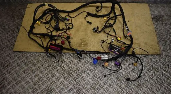 Porsche Panamera (971) Other wiring loom