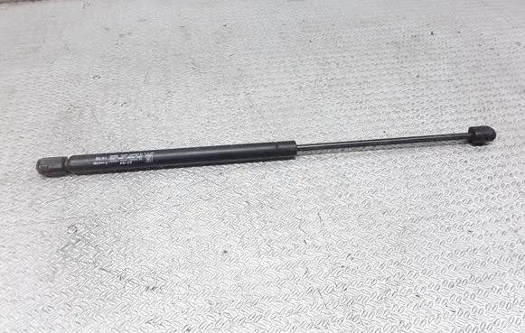 Tailgate/trunk strut/damper