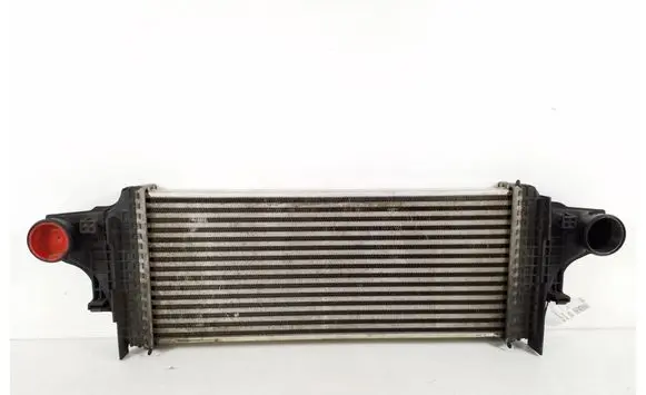 Mercedes-Benz R W251 Intercooler radiator A1645001900