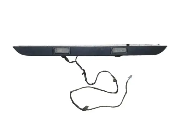 Trunk door license plate light bar