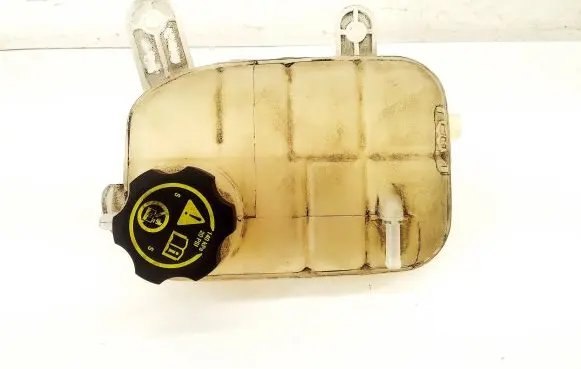 Opel Mokka Coolant expansion tank/reservoir 95380033