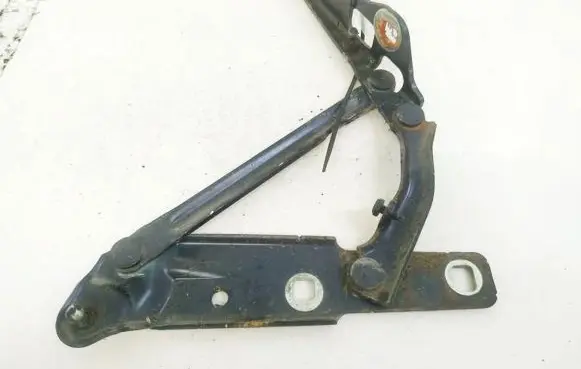 Cadillac CTS Tailgate/trunk/boot hinge 15520445