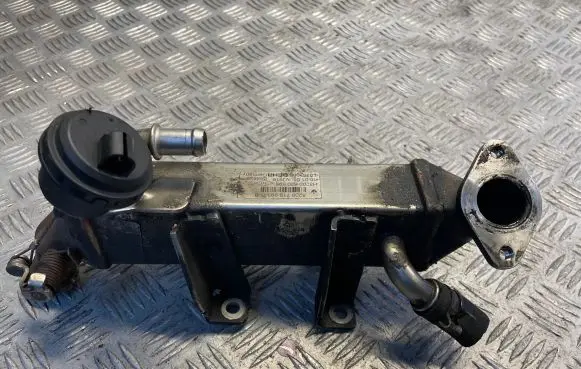 Renault Koleos I EGR valve cooler 8200719993B L0281006 H8200620695
