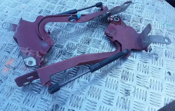Renault Scenic III - Grand scenic III Engine bonnet/hood hinges 654010004R