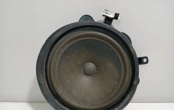 Front door speaker