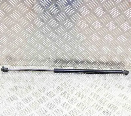 Tailgate/trunk strut/damper