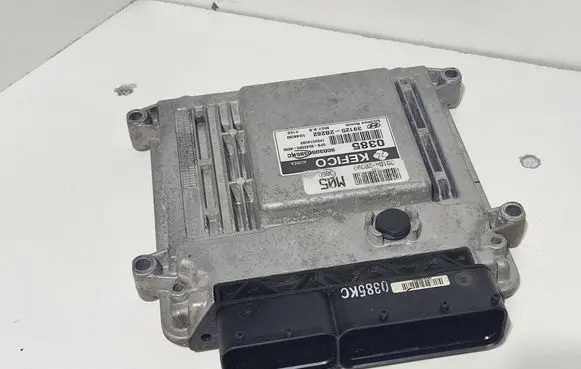 Hyundai i20 (PB PBT) Engine control unit/module ECU 391252B282 391042B302
