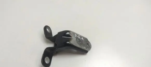 KIA Soul Rear door lower hinge ID14103