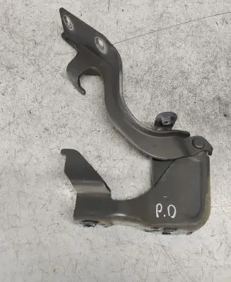 Opel Antara Engine bonnet/hood hinges