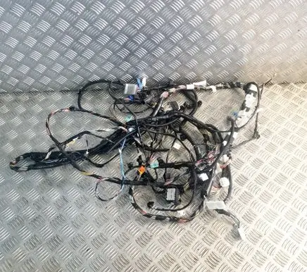 Tesla Model 3 Other wiring loom 106795400E