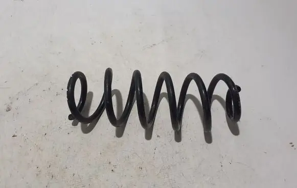 Rear coil spring