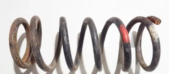 Nissan Primera Rear coil spring