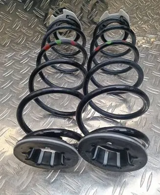 Rear coil spring