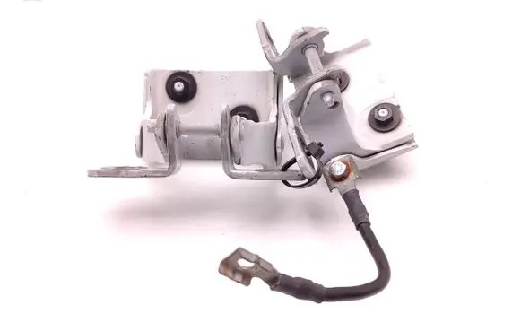 BMW 1 F20 F21 Front door hinge set 7239876 7239875