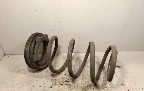Rear coil spring