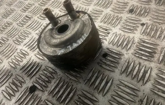 Nissan X-Trail T30 Oil filter mounting bracket 