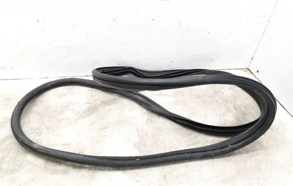 Fiat Tipo Front door rubber seal 