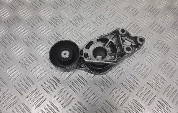 Skoda Roomster (5J) Alternator belt tensioner pulley 