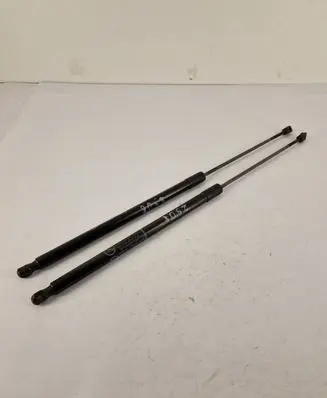 Ford C-MAX II Tailgate/trunk strut/damper AM51U406A10AE