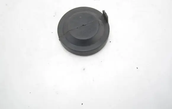 Volkswagen PASSAT B7 Headlight/headlamp dust cover 89004031