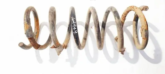 Rear coil spring