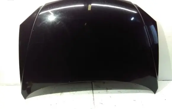 Engine bonnet/hood