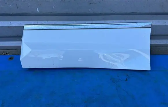 Volkswagen Tiguan Rear door trim (molding) 5NA854949M