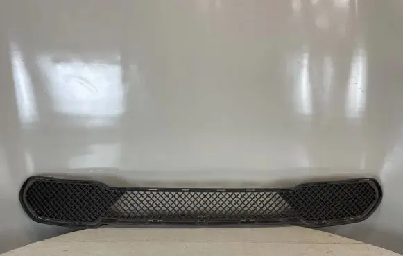 BMW X1 E84 Front bumper lower grill 51112990368 51112990475 51112990476