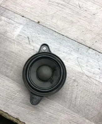 Panel speaker