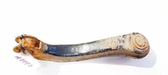 Honda Accord Rear upper control arm/wishbone