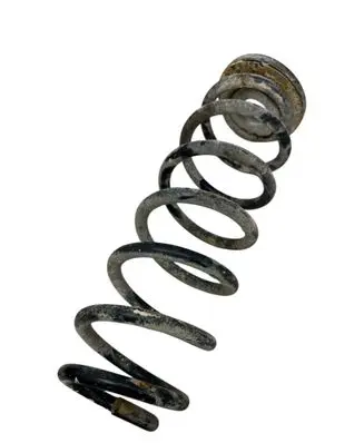 Rear coil spring