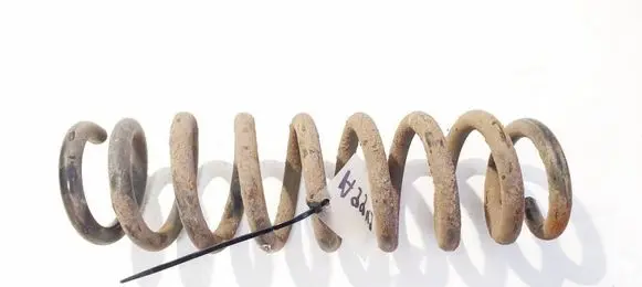 Rear coil spring